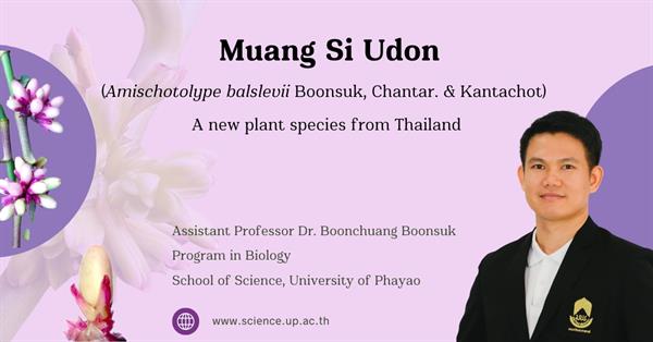 Muang Si Udon (Amischotolype balslevii Boonsuk, Chantar. & Kantachot): A new plant species from Thailand